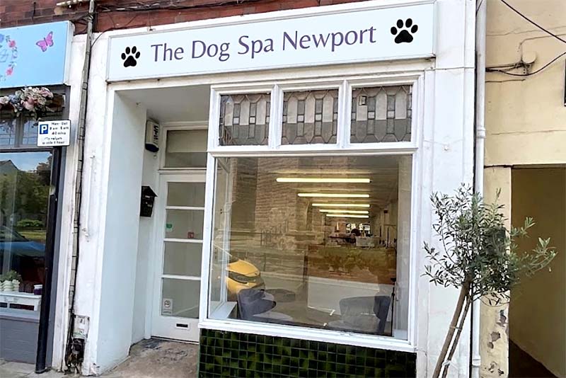 The Dog Spa Newport