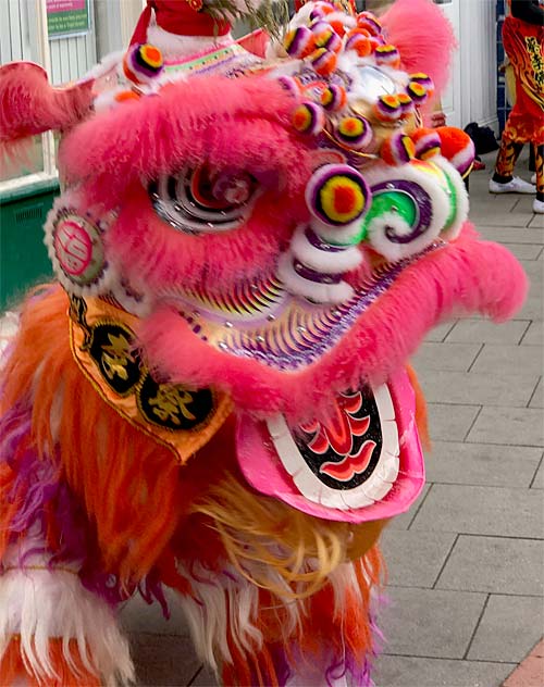 Newport Chinese New Year 2020
